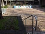 Campus squirrel