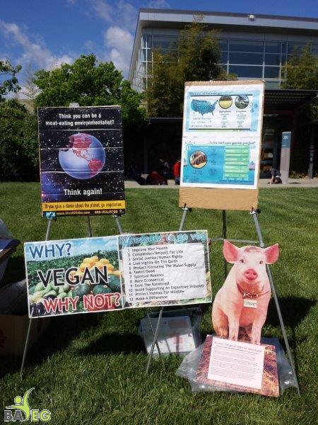 NVC - Poster Display