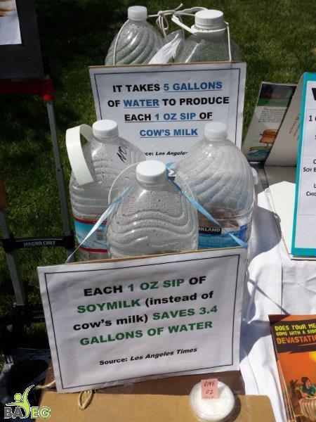 Takes 5 gallons of water to create 1 oz of cow's milk