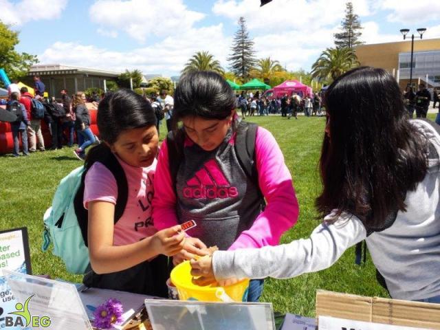 NVC - 6th graders interested in vegan messaging