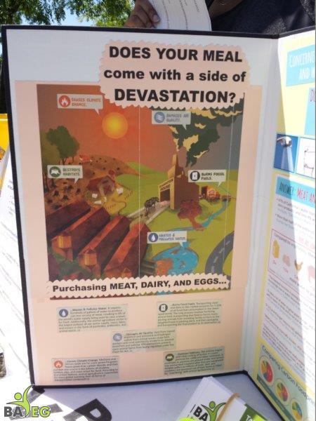 NVC - Does your meal come with a side of devastation?