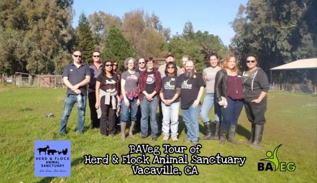 Our tour group
