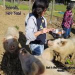Tammy sharing food with Diego, Tom and Luther