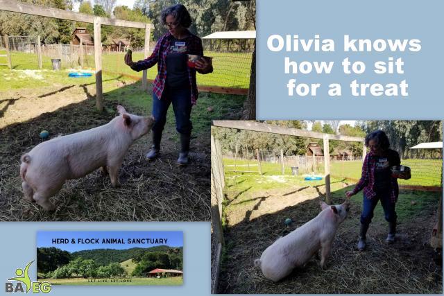 olivia_001.jpg