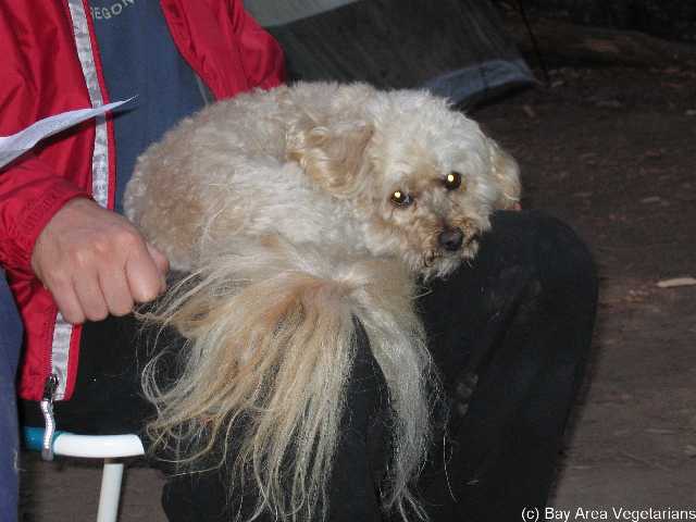 Blonde little guy