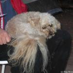 Blonde little guy