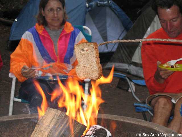 Campfire toaster