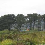 Our campsite, behind the trees