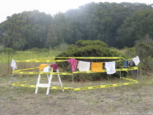 Drying the dish towels