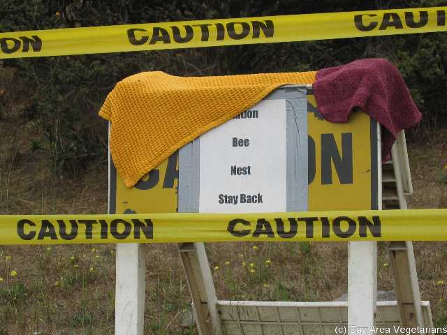 on caution tape warning of an active bee hive
