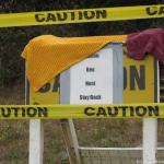on caution tape warning of an active bee hive
