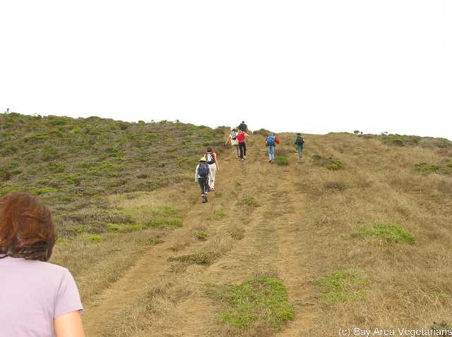 Uphill.jpg
