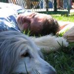 Resting animals