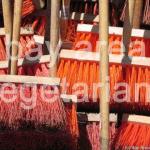 Clean up crew ready to go!