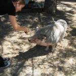 IMG_0364.jpg