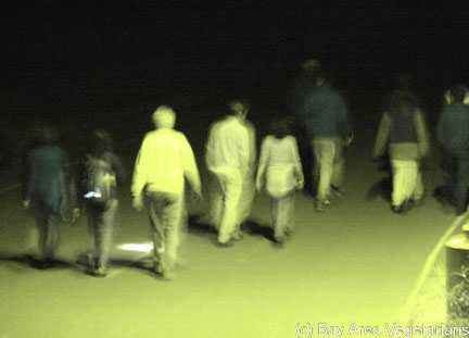 Walkinover.jpg