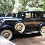 veg food enthusiasts meet old car enthusiasts in redwoods