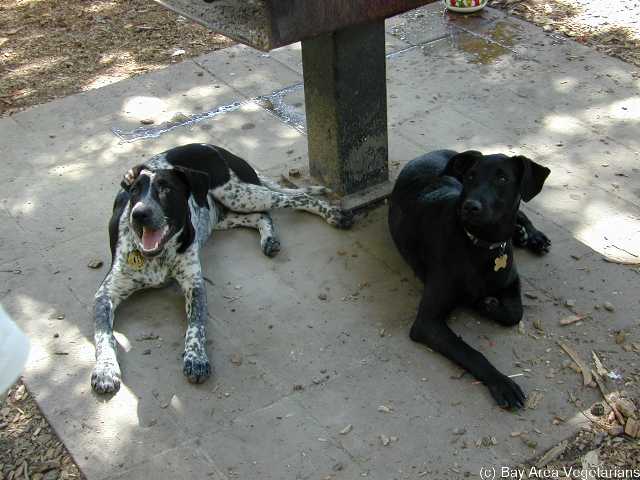DSCN8083.jpg