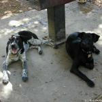 DSCN8083.jpg