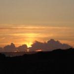 DSC03427.jpg