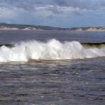 DSC03624.jpg