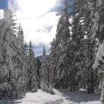Snow Lodge 04