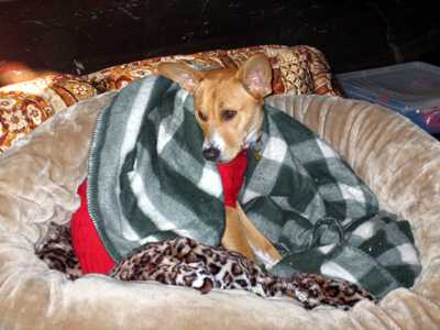 8171 Willow's bed__.jpg