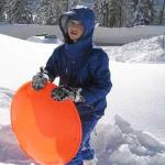 8243 Joe's saucer.jpg