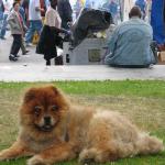 IMG_1042.jpg
