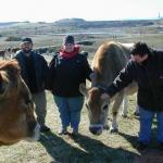 Chris, Nicole, Regina with bovine friends