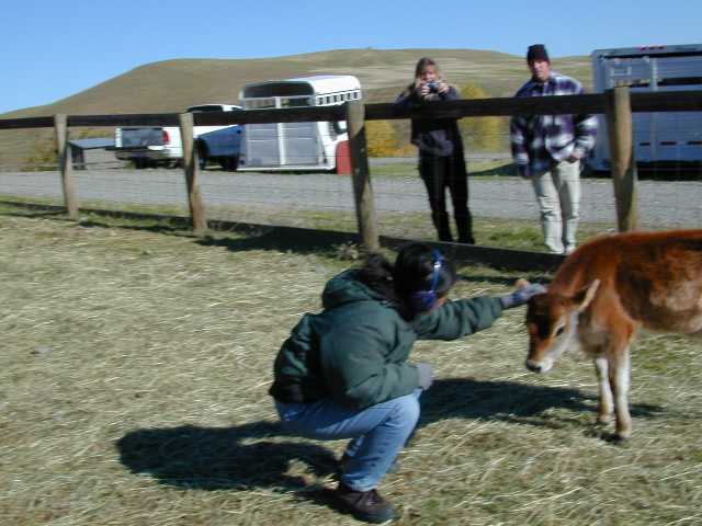 We all had to pet the little one