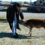 Alex's coat has a yummy vegan flavor