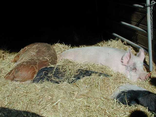 dscn7644.jpg