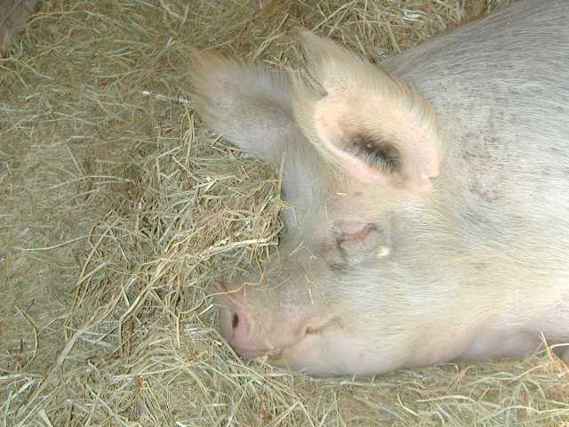 DSCN7646.jpg