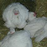 DSCN7653.jpg