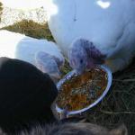 DSCN7657.jpg