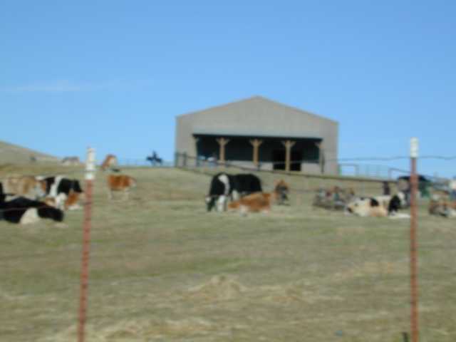 A scenic view of Farm Sanctuary from the hayride