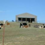 A scenic view of Farm Sanctuary from the hayride