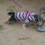 DSCN7558.jpg