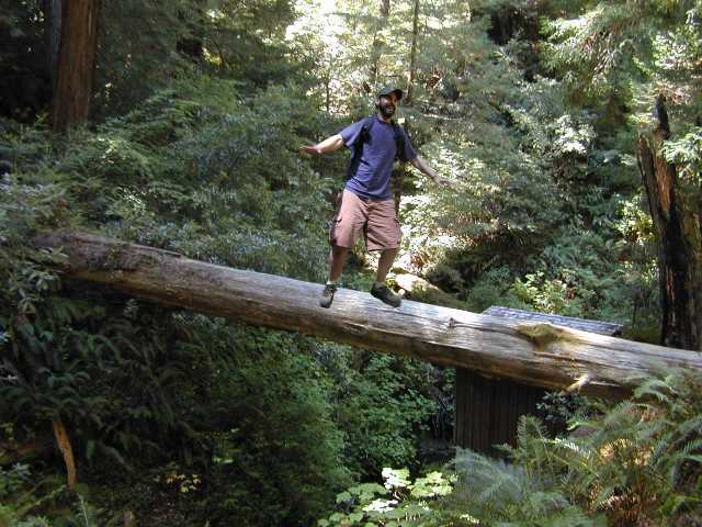 Look!  No hands!