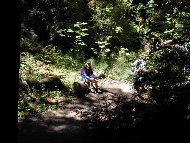 DSCN7532.jpg