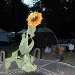 DSCN7367.jpg