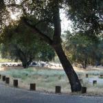 The campground