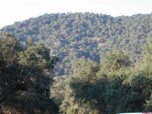 The mountains