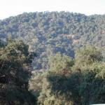 The mountains