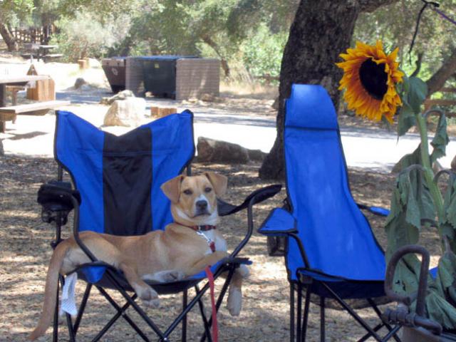 Willow takes a break