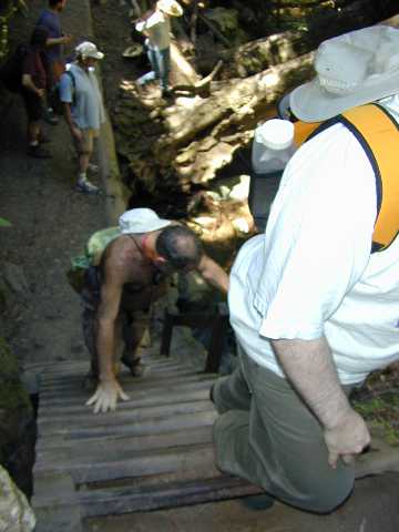 DSCN7272.jpg
