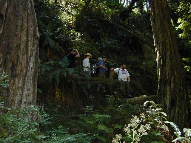 DSCN7276.jpg