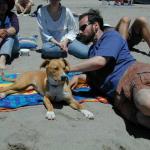 Willow (left) and her friends