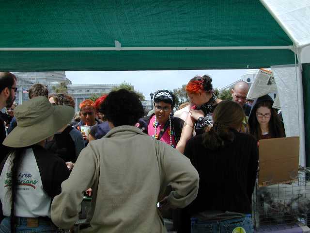 BAV's VegPride volunteers are faced with lots of interested folks!